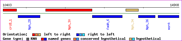 gene map