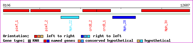 gene map