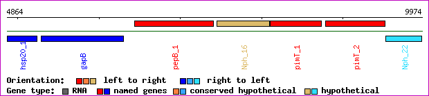 gene map