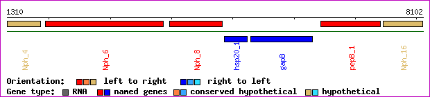 gene map