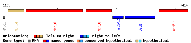gene map