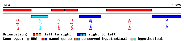 gene map
