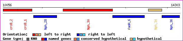 gene map