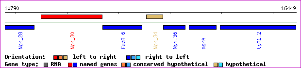 gene map