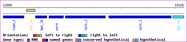 gene map