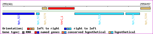 gene map
