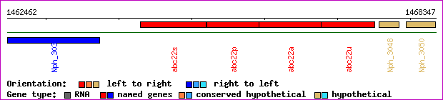 gene map