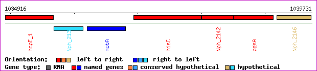 gene map