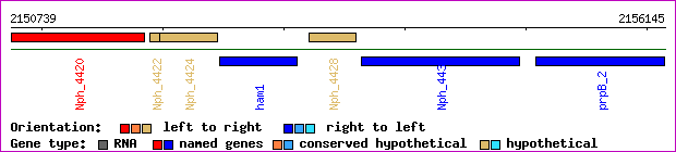 gene map