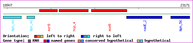gene map