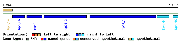 gene map