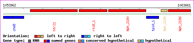 gene map