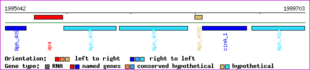 gene map