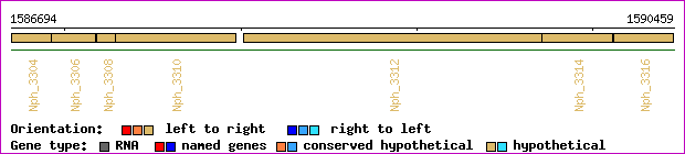 gene map