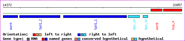 gene map
