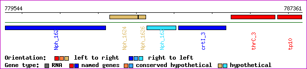 gene map