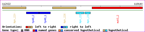 gene map