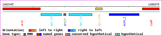 gene map