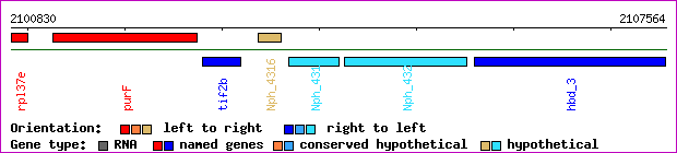 gene map