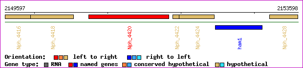 gene map