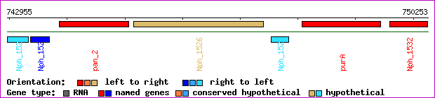 gene map