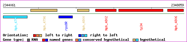 gene map