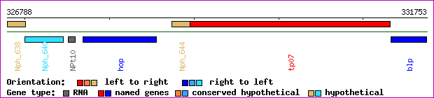 gene map