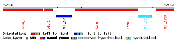 gene map