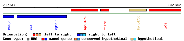 gene map
