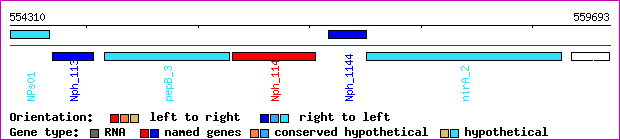 gene map