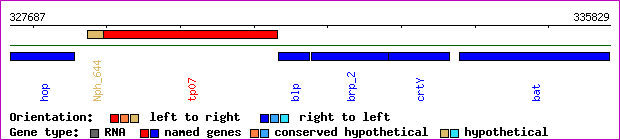 gene map