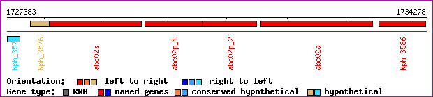 gene map