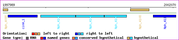 gene map