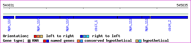 gene map