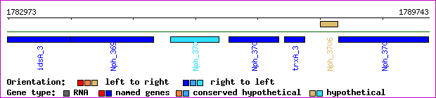 gene map