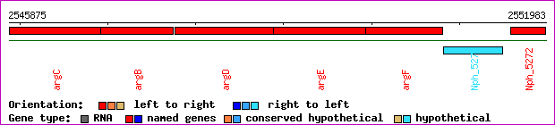 gene map