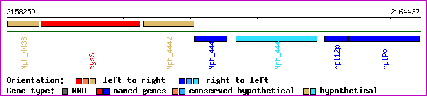gene map