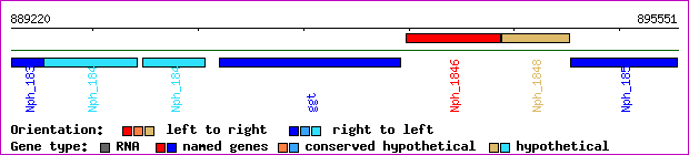 gene map