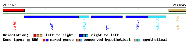 gene map