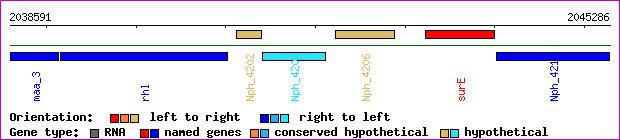 gene map