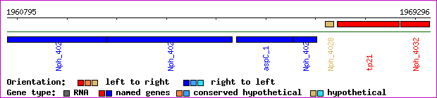 gene map
