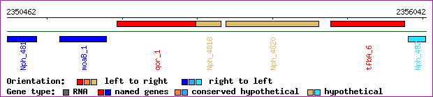 gene map