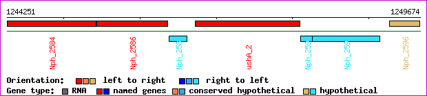 gene map