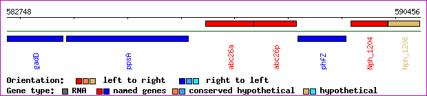 gene map