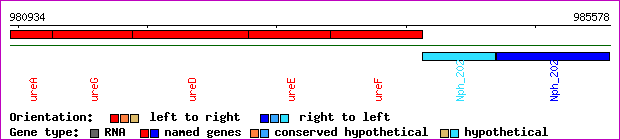 gene map