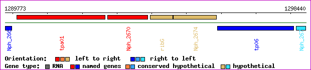gene map