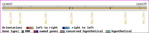 gene map