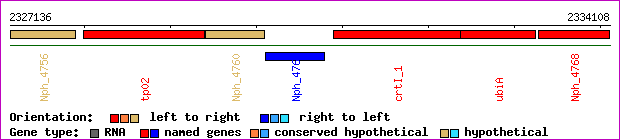 gene map