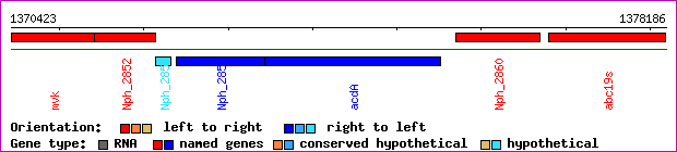 gene map