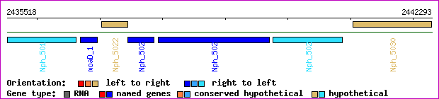 gene map